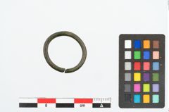 Foto von Bronzering (NHMW-PRAE-026239)